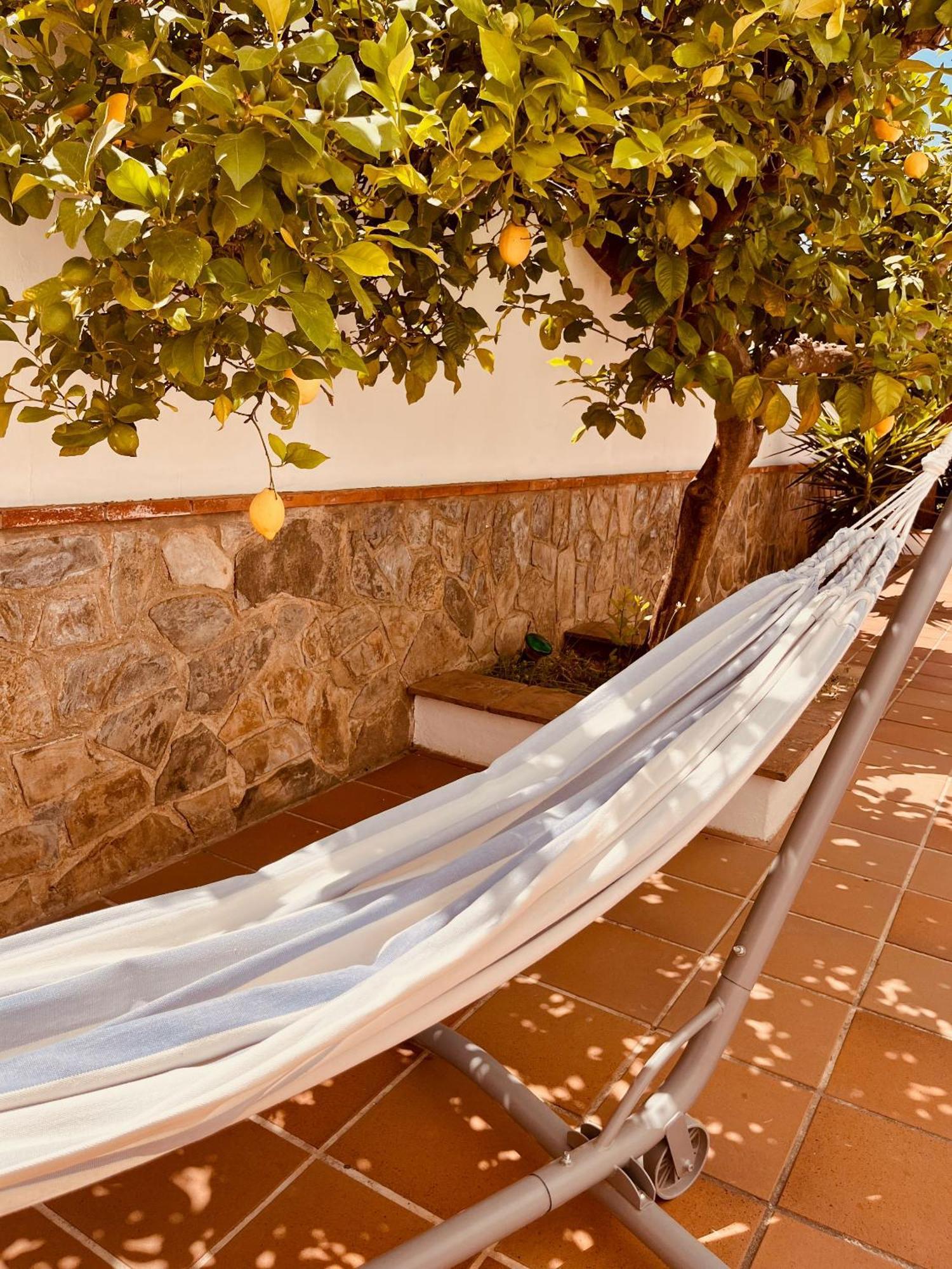 Casa Limon, Boutique Bed And Breakfast, Adults Only Alhaurín el Grande Екстериор снимка